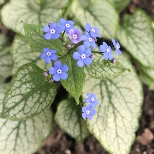 Meet your Posher, Drea